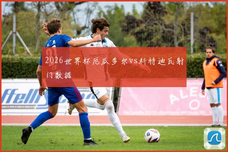 2026世界杯厄瓜多尔vs科特迪瓦射门数据