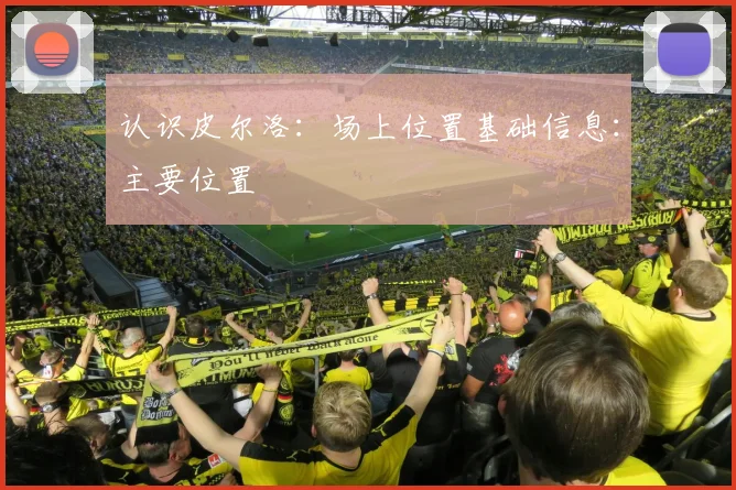认识皮尔洛：场上位置基础信息：主要位置