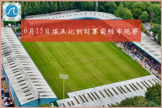 6月15日埃及比利时赛前赔率观察