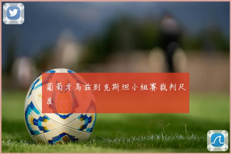葡萄牙乌兹别克斯坦小组赛裁判尺度