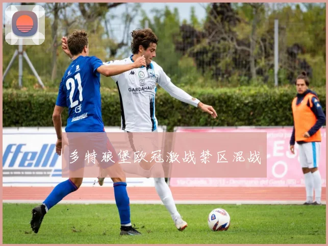多特狼堡欧冠激战禁区混战