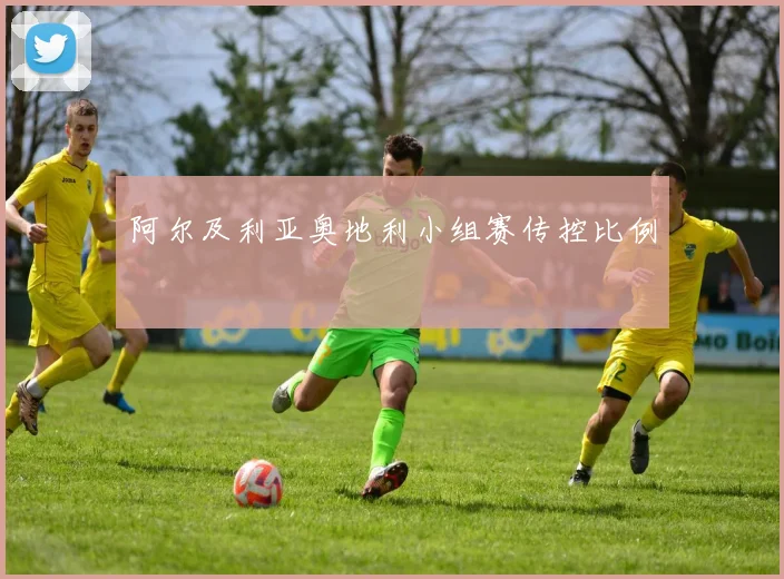 阿尔及利亚奥地利小组赛传控比例