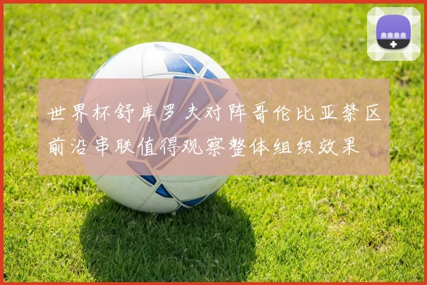 世界杯舒库罗夫对阵哥伦比亚禁区前沿串联值得观察整体组织效果
